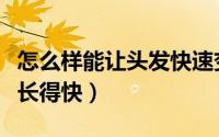 怎么样能让头发快速变浓密（怎么样能让头发长得快）