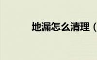 地漏怎么清理（地漏怎么防臭）