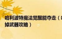 哈利波特魔法觉醒能夺走（哈利波特魔法觉醒我也许会被除掉武器攻略）