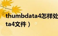 thumbdata4怎样处理（如何删除thumbdata4文件）