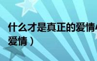 什么才是真正的爱情小短片（什么才是真正的爱情）