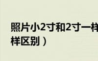 照片小2寸和2寸一样吗（2寸和小2寸照片怎样区别）