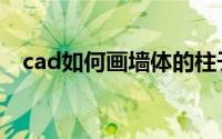 cad如何画墙体的柱子（cad如何画墙体）