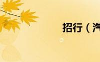 招行（汽车贷款）