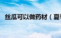 丝瓜可以做药材（夏季如何把丝瓜当药用）