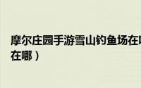 摩尔庄园手游雪山钓鱼场在哪里（摩尔庄园手游雪山钓鱼场在哪）