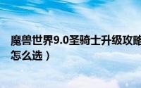 魔兽世界9.0圣骑士升级攻略（魔兽7.0圣骑士职业大厅升级怎么选）