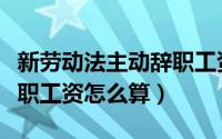 新劳动法主动辞职工资结算（新劳动法主动辞职工资怎么算）