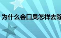 为什么会口臭怎样去除口臭（为什么会口臭）