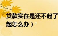 贷款实在是还不起了怎么办?（平台贷款还不起怎么办）