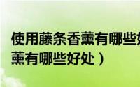 使用藤条香薰有哪些好处和坏处（使用藤条香薰有哪些好处）