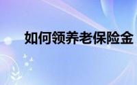 如何领养老保险金（如何领养流浪猫）