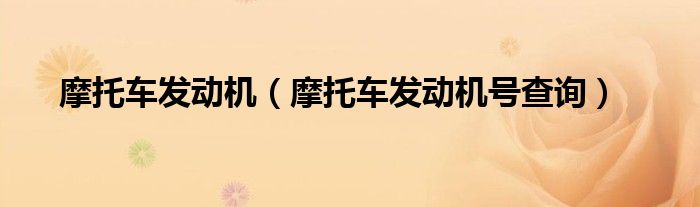 摩托车发动机（摩托车发动机号查询）
