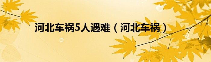 河北车祸5人遇难（河北车祸）