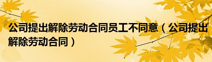 公司提出解除劳动合同员工不同意（公司提出解除劳动合同）