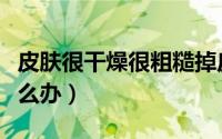 皮肤很干燥很粗糙掉皮（皮肤很干燥很粗糙怎么办）