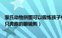 蒙氏动物拼图可以锻炼孩子什么能力（用蒙氏积木怎样拼一只奔跑的眼镜熊）