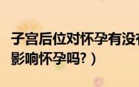 子宫后位对怀孕有没有影响（子宫后位真的会影响怀孕吗?）
