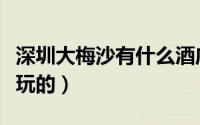 深圳大梅沙有什么酒店（深圳大梅沙有什么好玩的）