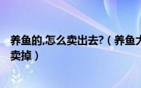 养鱼的,怎么卖出去?（养鱼大亨怎么卖鱼 养鱼大亨怎么把鱼卖掉）