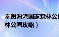 奉贤海湾国家森林公园观鸟（奉贤海湾国家森林公园攻略）