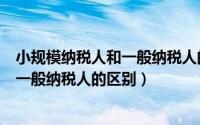 小规模纳税人和一般纳税人的区别是什么（小规模纳税人和一般纳税人的区别）