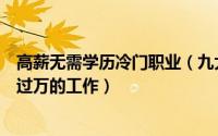 高薪无需学历冷门职业（九大低学历冷门高薪职业排行月薪过万的工作）