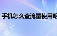 手机怎么查流量使用明细（手机怎么查流量）