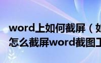 word上如何截屏（如何在word截屏word里怎么截屏word截图工具）