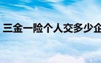 三金一险个人交多少企业交多少（三金一险）