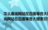 怎么查询网站在百度等各大搜索引擎的收录情况表（怎么查询网站在百度等各大搜索引擎的收录情况）
