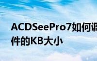 ACDSeePro7如何调整图像大小并估计新文件的KB大小