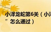 小泽龙蛇第6关（小泽龙蛇第一关“智慧之门”怎么通过）