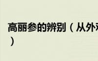 高丽参的辨别（从外观判断一条上好的高丽参）