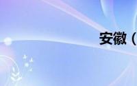 安徽（车祸）
