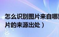怎么识别图片来自哪里（【识图】怎样查找图片的来源出处）