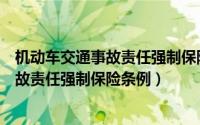 机动车交通事故责任强制保险条例实施细则（机动车交通事故责任强制保险条例）