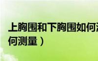 上胸围和下胸围如何测量（上胸围和下胸围如何测量）