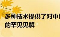 多种技术提供了对中世纪文士和插图画家工作的罕见见解