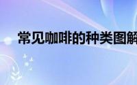 常见咖啡的种类图解（常见咖啡的种类）