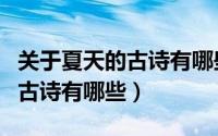 关于夏天的古诗有哪些不一样的（关于夏天的古诗有哪些）