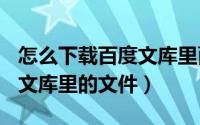 怎么下载百度文库里面的ppt（怎么下载百度文库里的文件）
