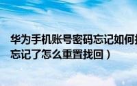 华为手机账号密码忘记如何找回（华为手机的华为账号密码忘记了怎么重置找回）