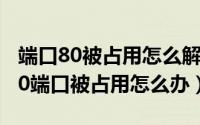 端口80被占用怎么解决（windows 10系统80端口被占用怎么办）