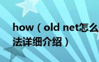 how（old net怎么玩 how old net网站玩法详细介绍）