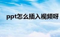 ppt怎么插入视频呀（ppt怎么插入音乐）