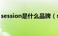 session是什么品牌（session是什么怎么用）