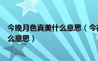 今晚月色真美什么意思（今夜月色真美是什么梗表达的是什么意思）