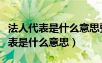 法人代表是什么意思要负责什么责任（法人代表是什么意思）