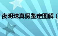 夜明珠真假鉴定图解（夜明珠真假鉴定方法）